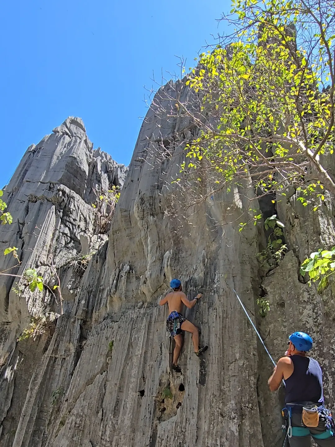 Foto da via de escalada Cacos e Copos (VIsup), no setor Salão Principal, no pico Belchior