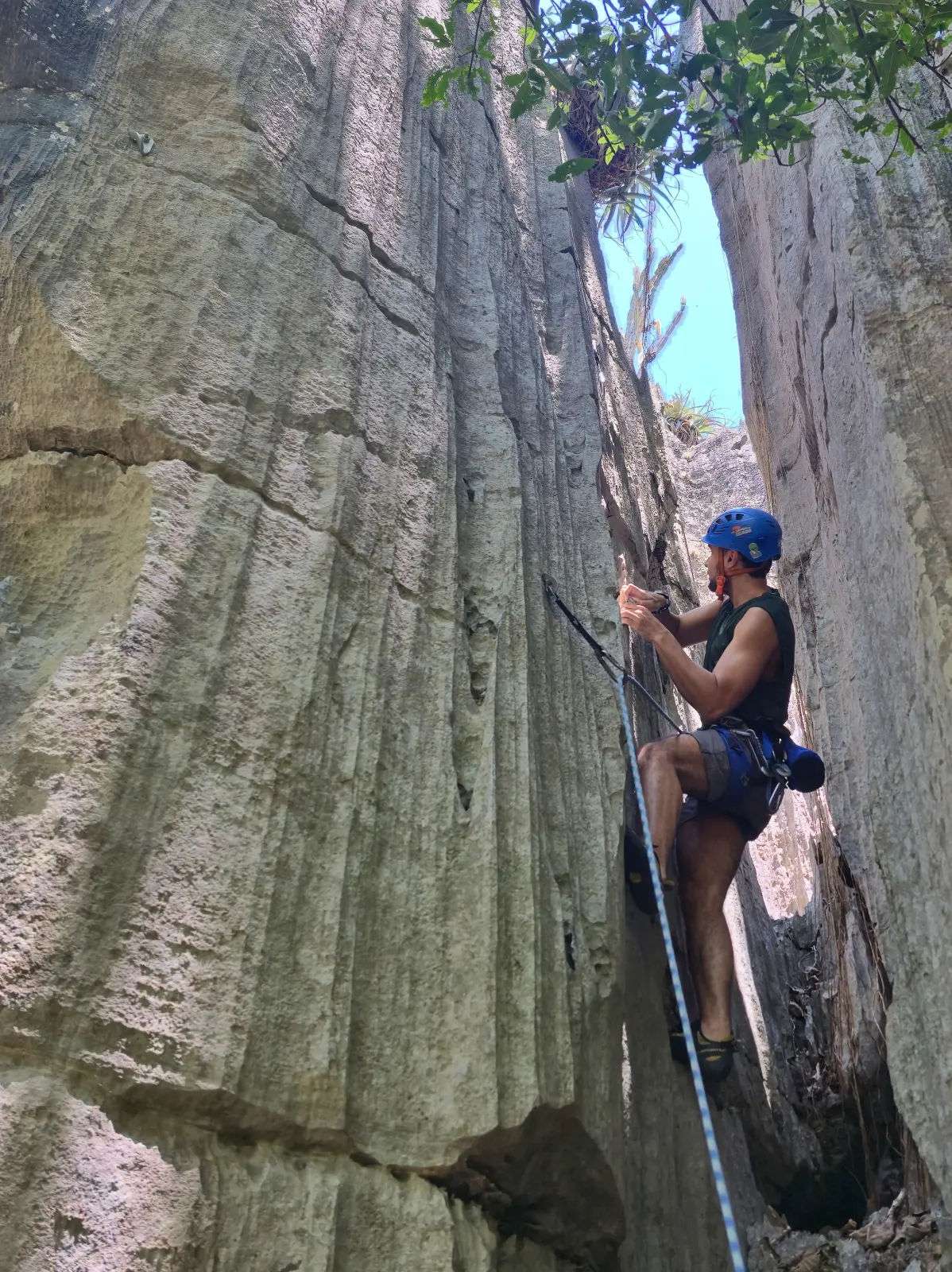 Foto da via de escalada Chaminelou Perdeu (V), no setor Salão dos Primatas, no pico Belchior