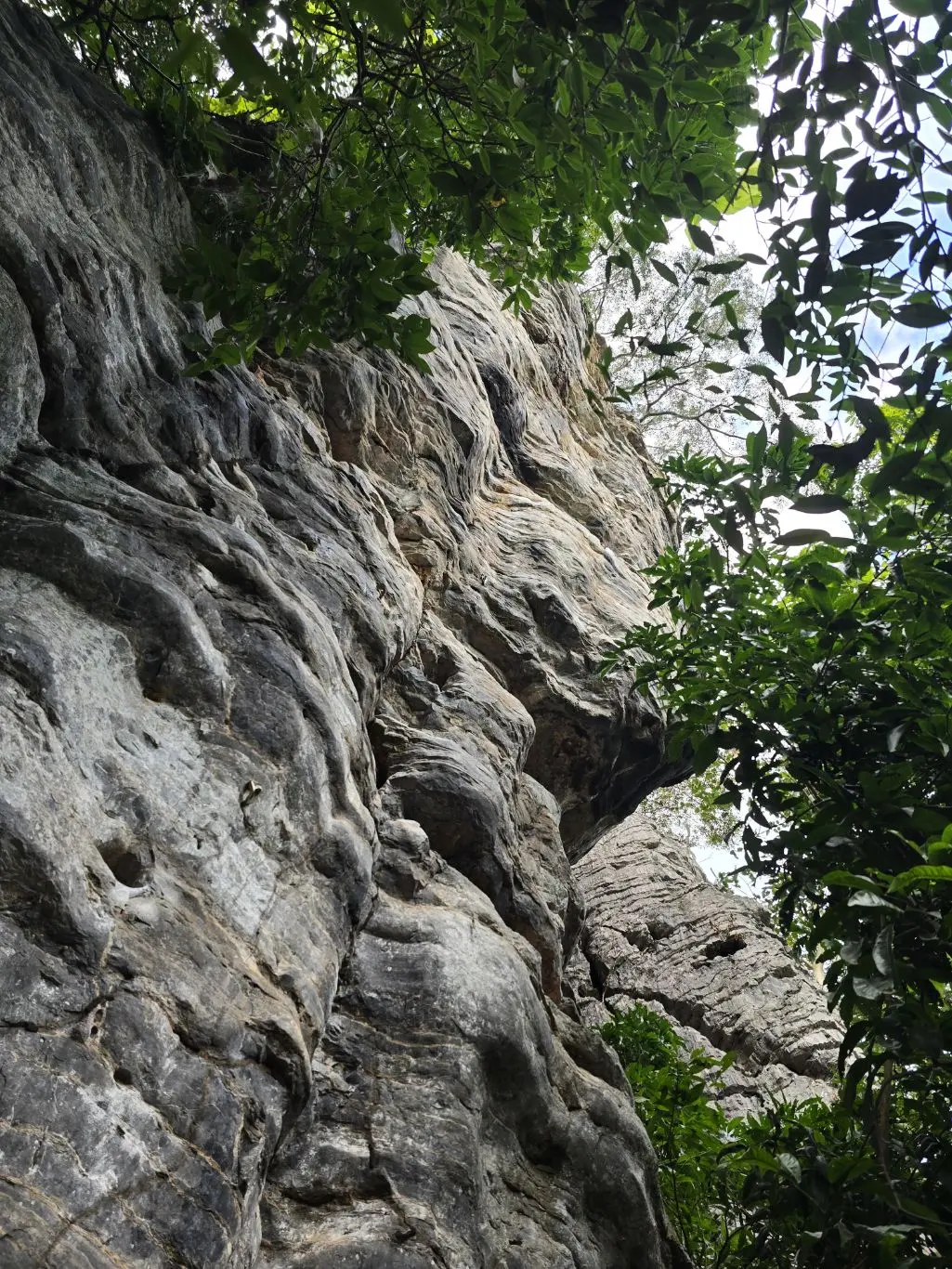 Foto da via de escalada Predador (7c), no setor Segundo Complexo, no pico Fercal