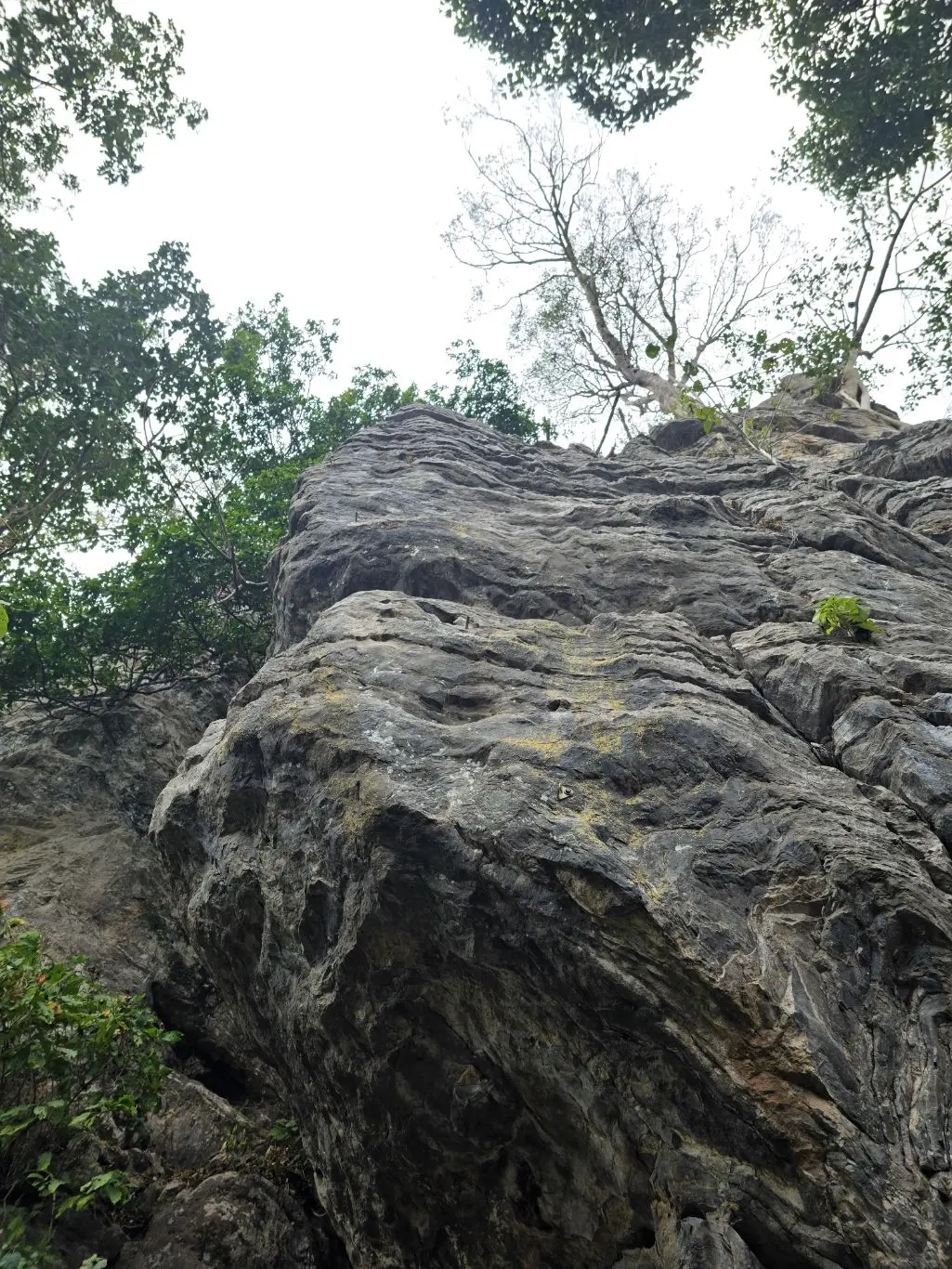 Foto da via de escalada El Ninho (VI), no setor Segundo Complexo, no pico Fercal