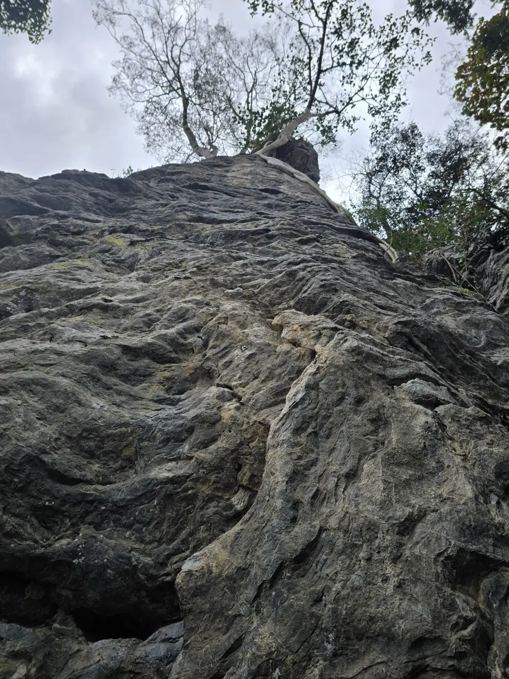 Foto da via de escalada Corpos Ardentes (VIsup), no setor Segundo Complexo, no pico Fercal
