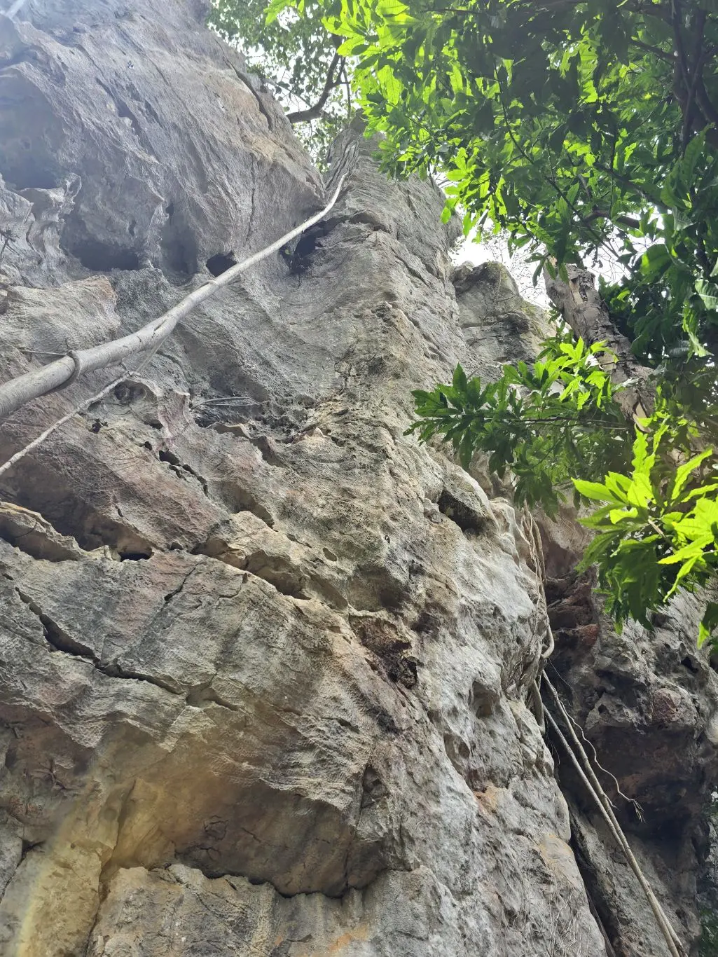 Foto da via de escalada Brutus (7c), no setor Segundo Complexo, no pico Fercal
