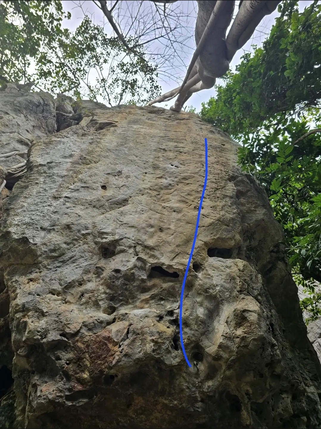 Foto da via de escalada Bacural Caolho (8b), no setor Segundo Complexo, no pico Fercal