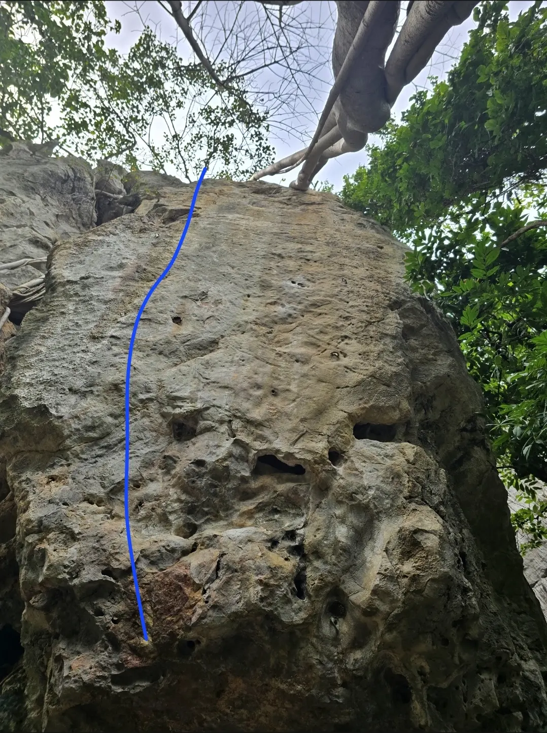 Foto da via de escalada Força de Aymoré (9c), no setor Segundo Complexo, no pico Fercal