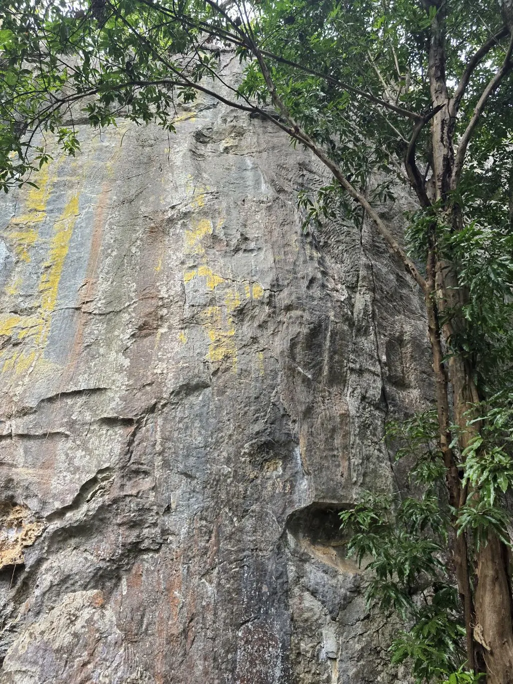 Foto da via de escalada Rat Raice (9a), no setor Primeiro Complexo, no pico Fercal