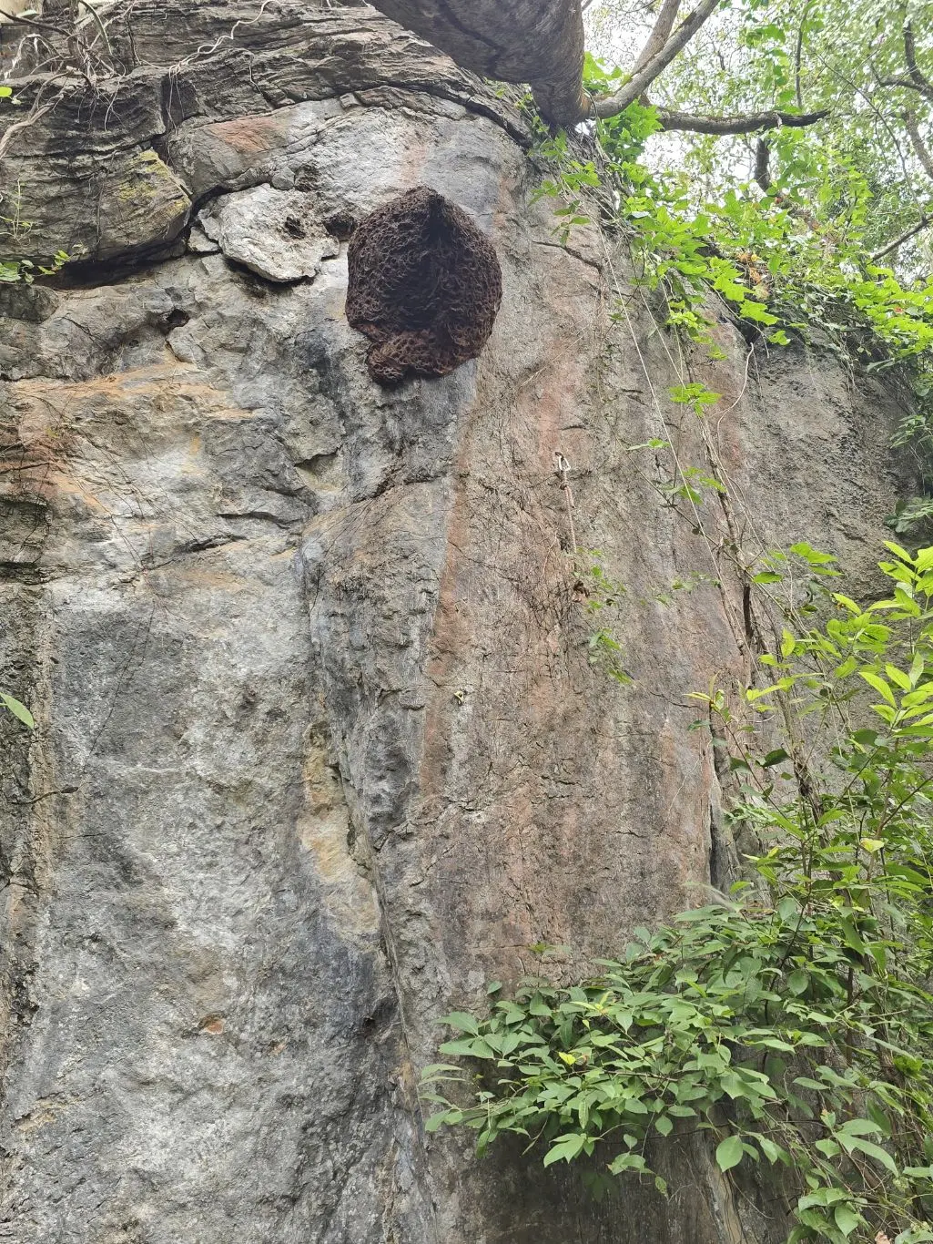 Foto da via de escalada Marimba, no setor Primeiro Complexo, no pico Fercal