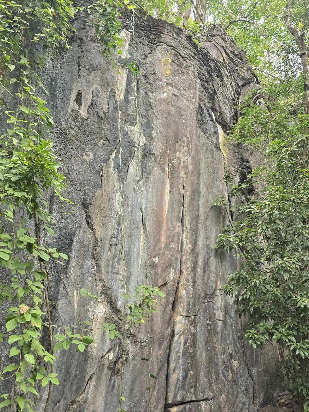 Foto da via de escalada Fissuras de um Grilo (9a), no setor Primeiro Complexo, no pico Fercal