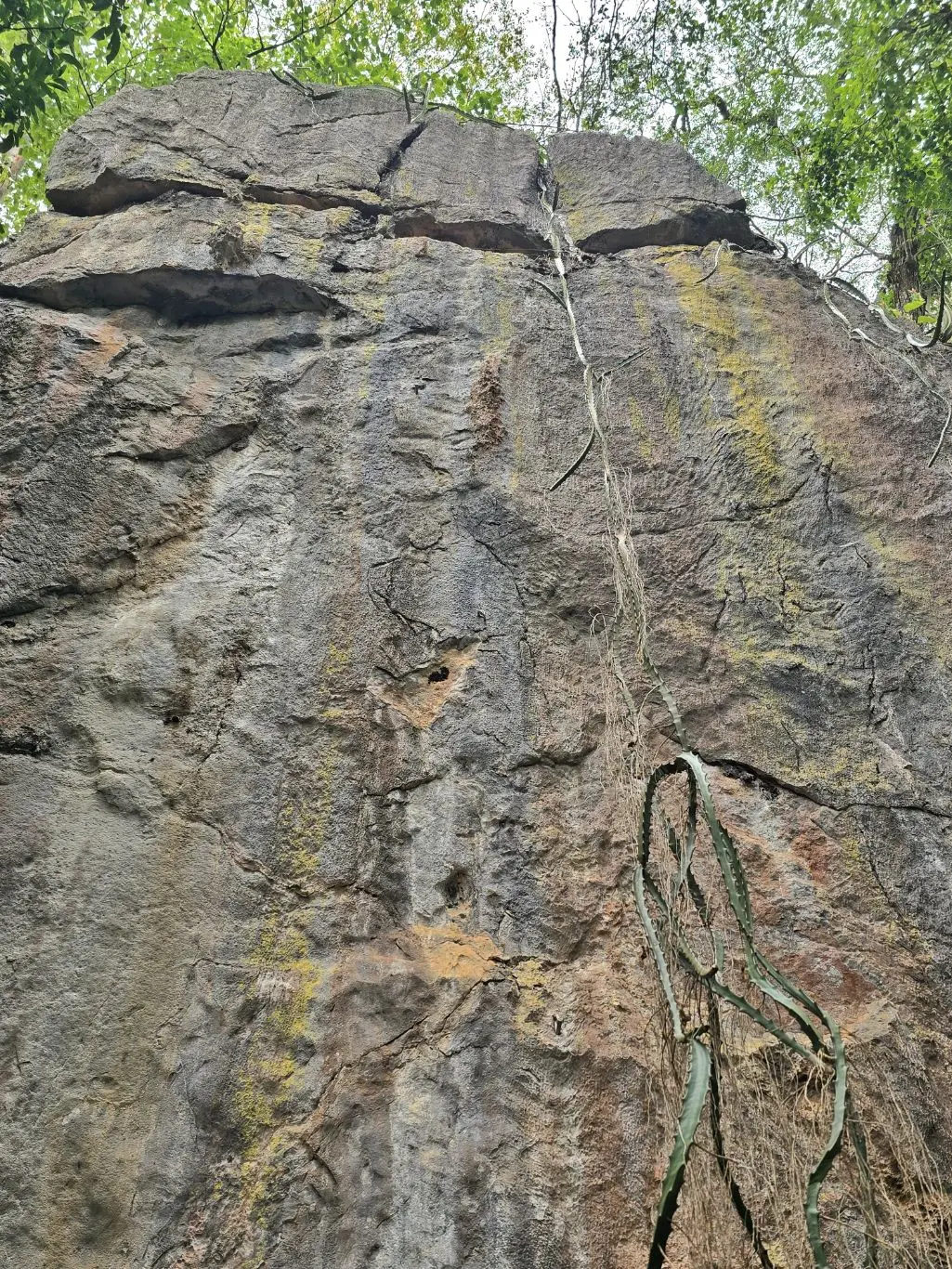 Foto da via de escalada Kcthose, no setor Primeiro Complexo, no pico Fercal