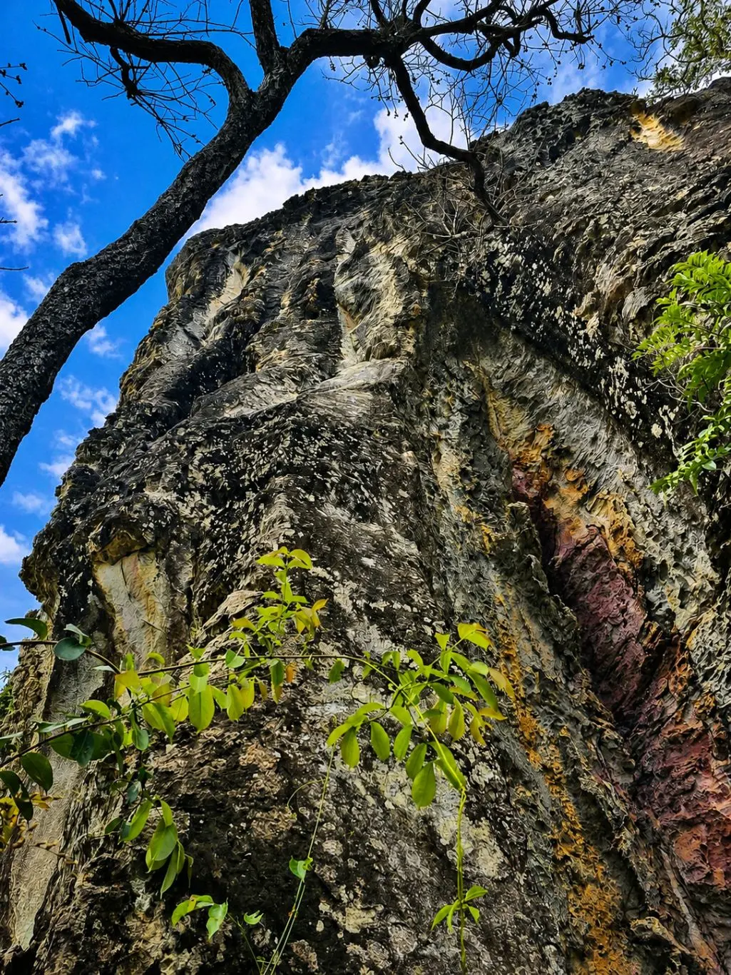 Foto da via de escalada Lua Nova (V), no setor Jurassic, no pico Parque Estadual dos Pirineus